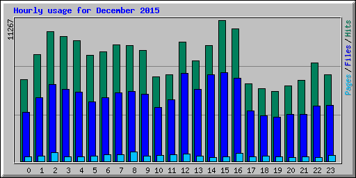 Hourly usage for December 2015
