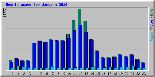 Hourly usage for January 2016